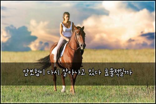 암보험이 다시 살아나고 있다 효율적일까