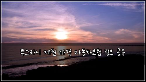 투스카니 제원 가격 자동차보험 정보 공유