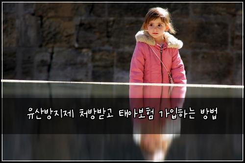 유산방지제 처방받고 태아보험 가입하는 방법