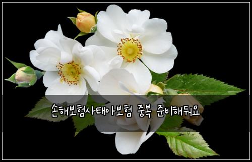 손해보험사태아보험 중복 준비해둬요