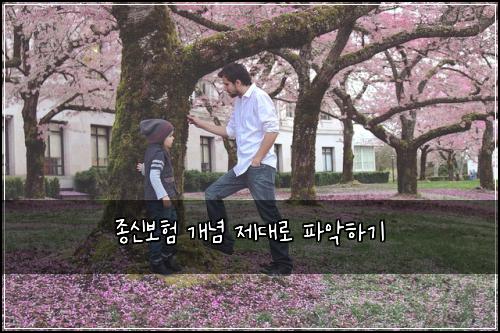 종신보험 개념 제대로 파악하기