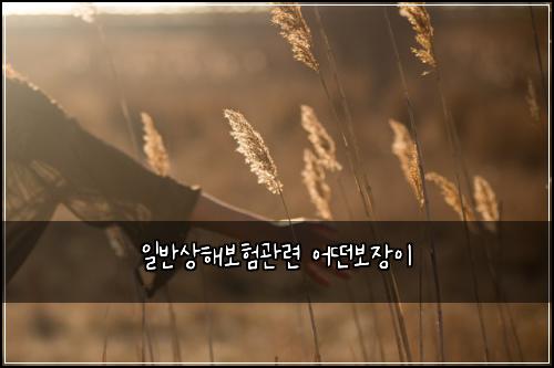 일반상해보험관련 어떤보장이