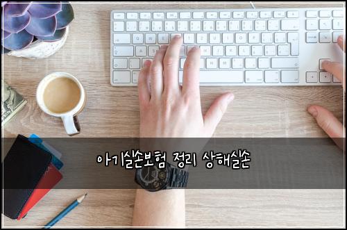 아기실손보험 정리  상해실손