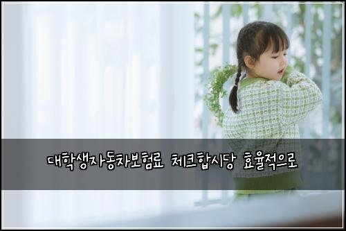 대학생자동차보험료 체크합시당 효율적으로
