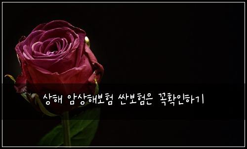 상해 암상해보험 싼보험은 꼭확인하기