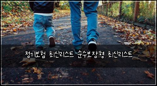 정기보험 최신리스트  순수보장형 최신리스트