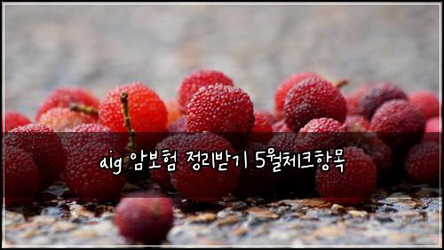 aig 암보험 정리받기  5월체크항목