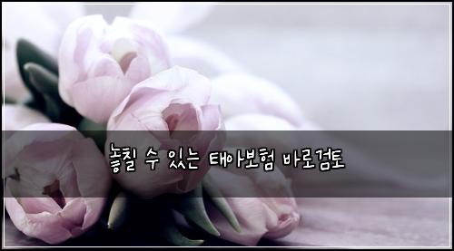 ๋์น ์ ์๋ ํ์๋ณดํ ๋ฐ๋ก๊ฒํ