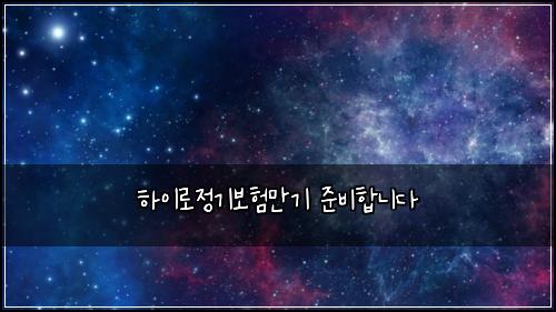 하이로정기보험만기 준비합니다
