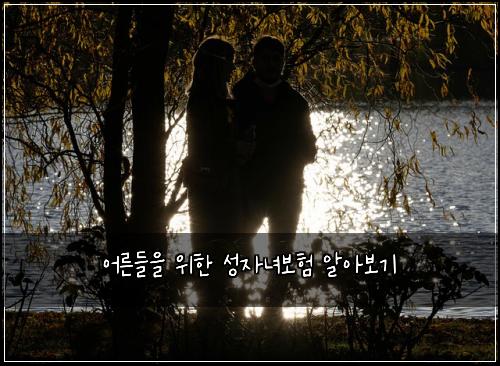 어른들을 위한 성자녀보험 알아보기