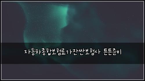 자동차종합보험료가잔싼보험사 튼튼준비