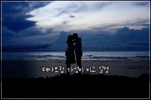 태아보험 가성비  비교 설명