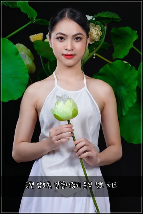 농협 암보험 알뜰저렴히  분석 정보 체크