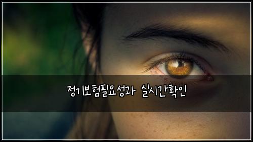 정기보험필요성과 실시간확인