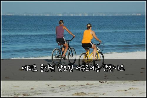 ๋ฉ๋ฆฌ์ธ ์ฌ์ธ์ ์๋ณดํ ์๋๋ฅด์ธ์ฅ ๊ด์ฐฌ๋์