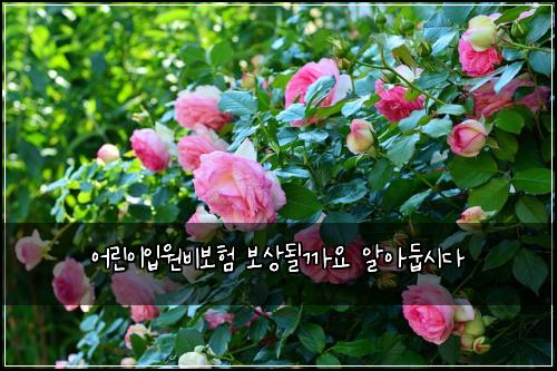 어린이입원비보험 보상될까요  알아둡시다