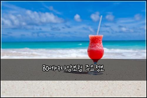 80์ธ์ฌ์์๋ณดํ ์ฃผ์์ ๋ณด