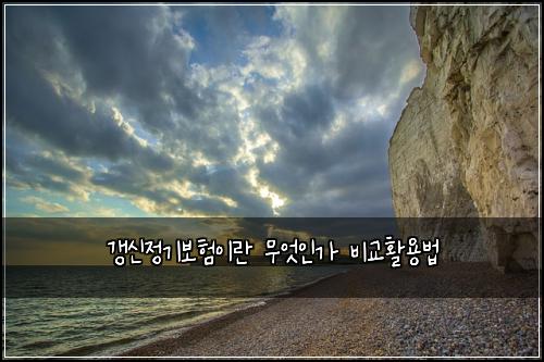 갱신정기보험이란 무엇인가 비교활용법