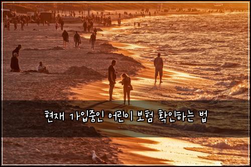 현재 가입중인 어린이 보험 확인하는 법