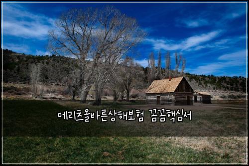 메리츠올바른상해보험 꼼꼼핵심서 