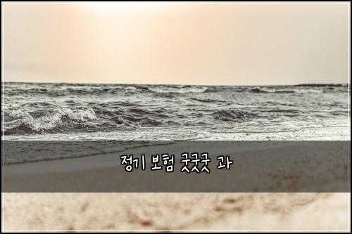 정기 보험 굿굿굿  과