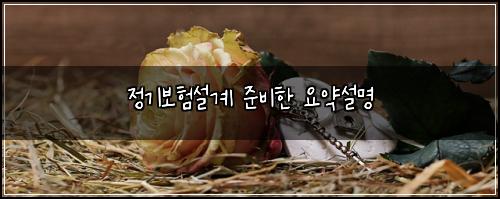 정기보험설계 준비한 요약설명