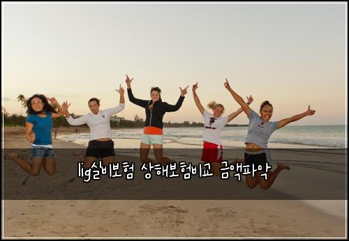 lig실비보험 상해보험비교 금액파악