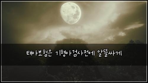 태아보험은 기형아검사전에 알뜰싸게