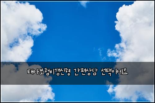태아보험비갱신형 간편상담 선택이에요