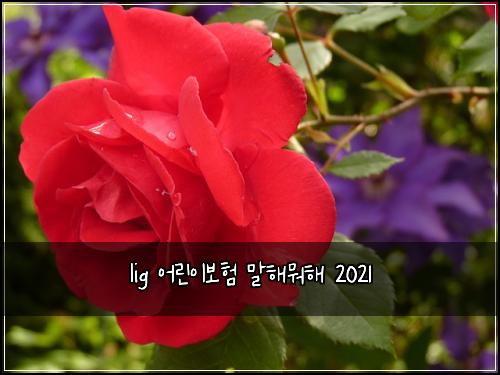 lig ์ด๋ฆฐ์ด๋ณดํ ๋งํด๋ญํด 2021