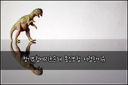 정기보험메리츠손해 종신보험 저렴한이유