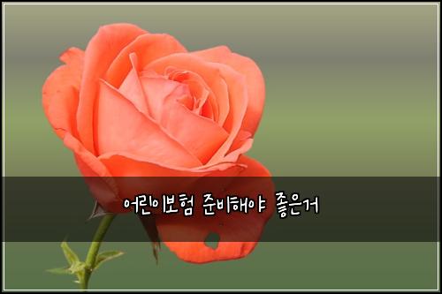 어린이보험 준비해야  좋은거