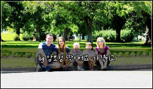 lig 암보험 딱이에요  가격비교