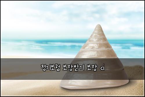 정기보험 보장받기  보장 ci