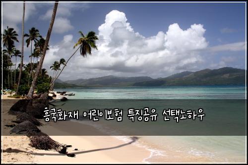 흥국화재 어린이보험 특징공유  선택노하우