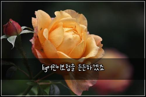lig어린이보험을 든든하겠죠