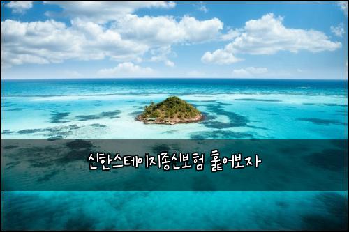 신한스테이지종신보험 훑어보자 