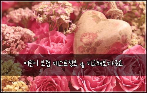 ์ด๋ฆฐ์ด ๋ณดํ ๋ฒ ์คํธ์ ๋ณด q ๋น๊ตํด๋ณด์๊ตฌ์