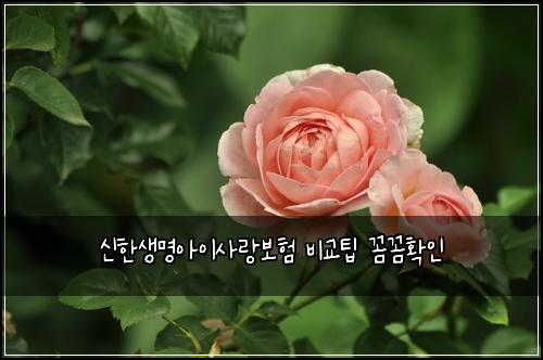 ์ ํ์๋ช
์์ด์ฌ๋๋ณดํ ๋น๊ตํ ๊ผผ๊ผผํ์ธ