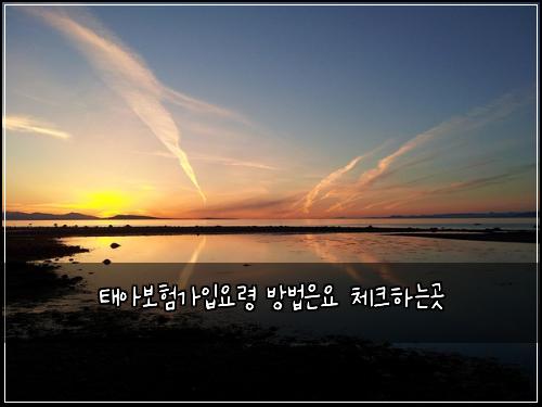 태아보험가입요령 방법은요 체크하는곳