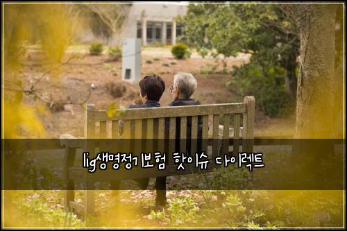 lig생명정기보험 핫이슈  다이렉트