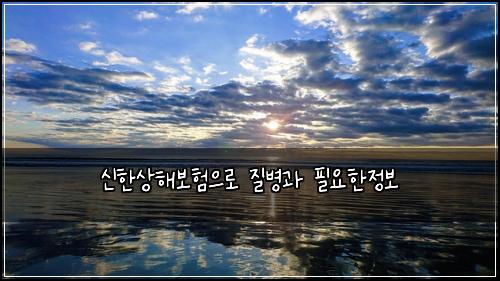 신한상해보험으로 질병과 필요한정보