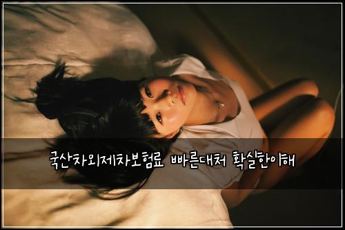 국산차외제차보험료 빠른대처 확실한이해