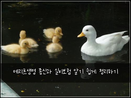 메리츠생명 종신과 실비보험 알기 쉽게 정리하기