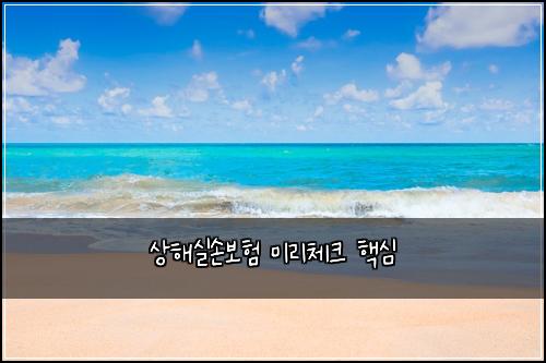 상해실손보험 미리체크  핵심