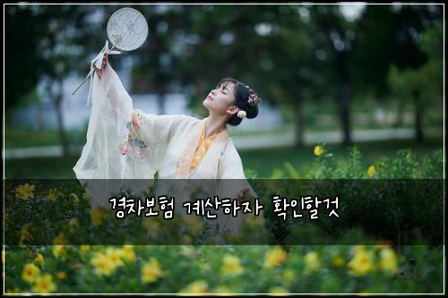 경차보험 계산하자  확인할것