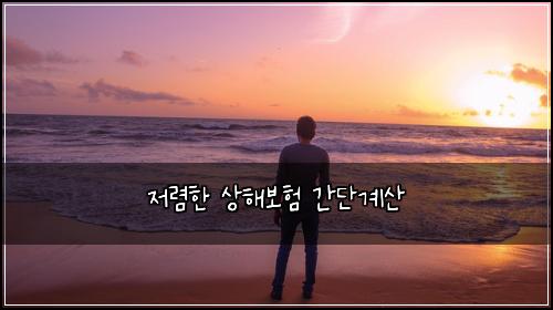 ์ ๋ ดํ ์ํด๋ณดํ ๊ฐ๋จ๊ณ์ฐ