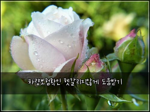 차량보험확인 헷갈리지않게 도움받기