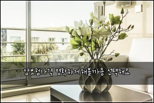 암보험가격 명확하게해볼까용 선택해요