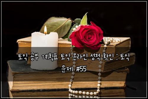 토익 공부 계획표 토익 온라인 성적 확인 : 토익 문제 #55